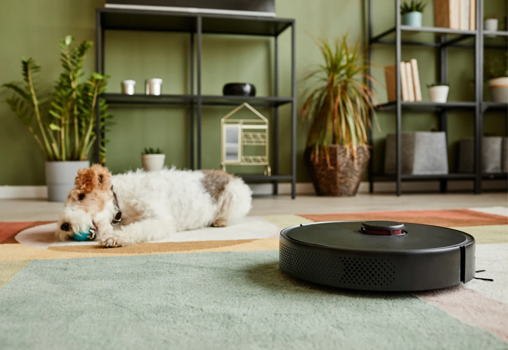 small robot vacuum cleaner